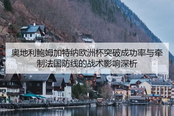 奥地利鲍姆加特纳欧洲杯突破成功率与牵制法国防线的战术影响深析